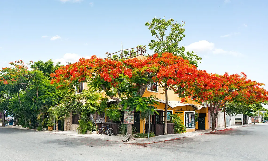 Weddings at Hotel Maison Tulum