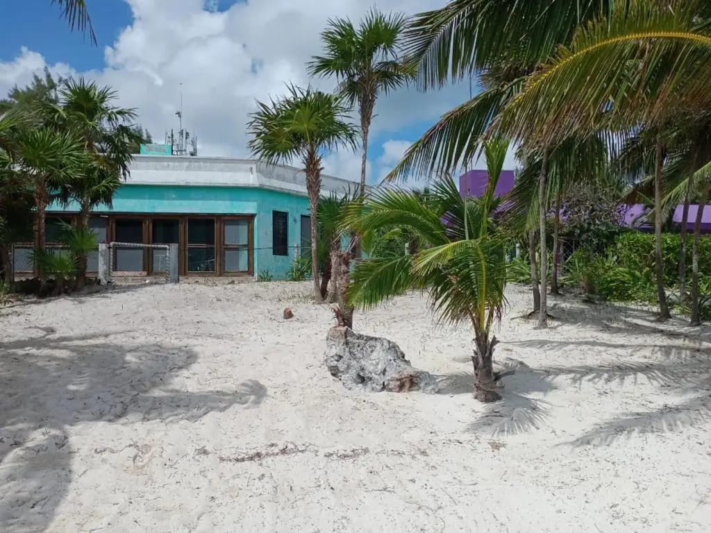 Weddings at La Casa Verde Tulum