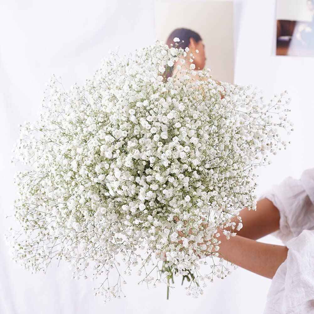 Baby Breath - Flowers for Bridal Bouquet